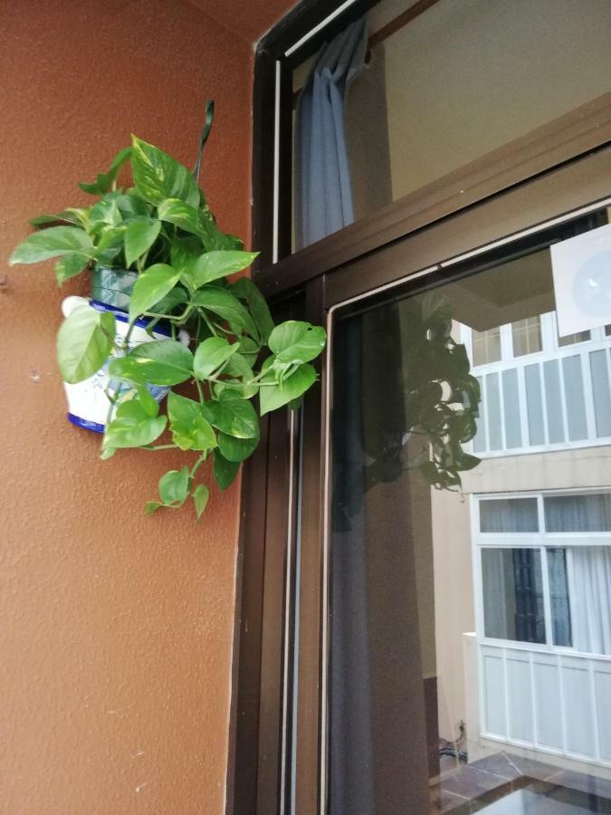 Apartamento Babelia Las Palmas de Gran Canaria Exterior foto